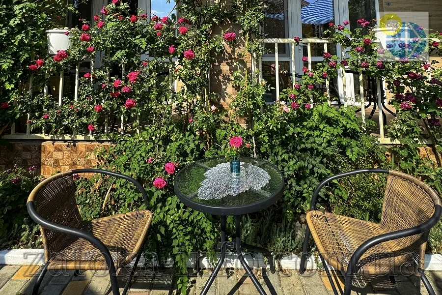 Затока. Villa Shell