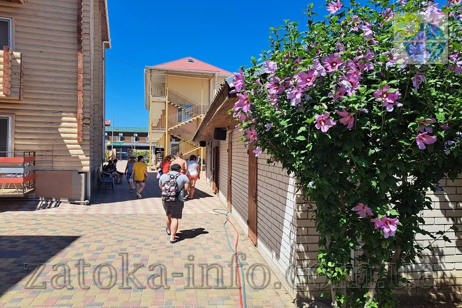 Затока Лиманська інфраструктура фото